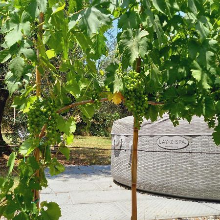 Agriturismo Fonteregia Montecatini Terme Dış mekan fotoğraf