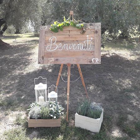 Agriturismo Fonteregia Montecatini Terme Dış mekan fotoğraf