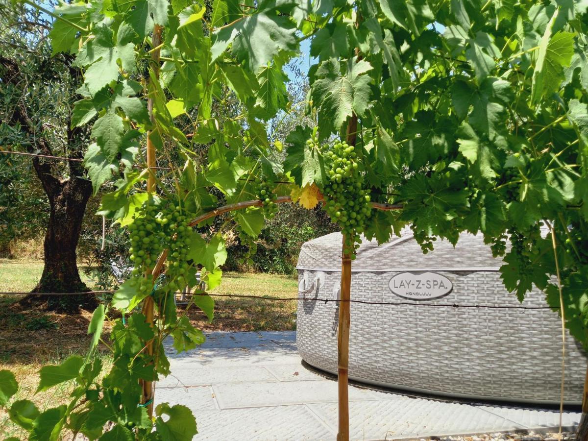 Agriturismo Fonteregia Montecatini Terme Dış mekan fotoğraf
