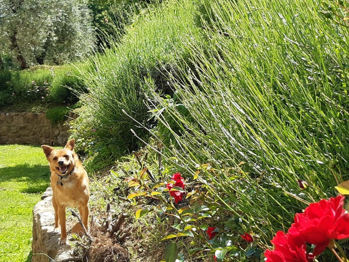 Agriturismo Fonteregia Montecatini Terme Dış mekan fotoğraf