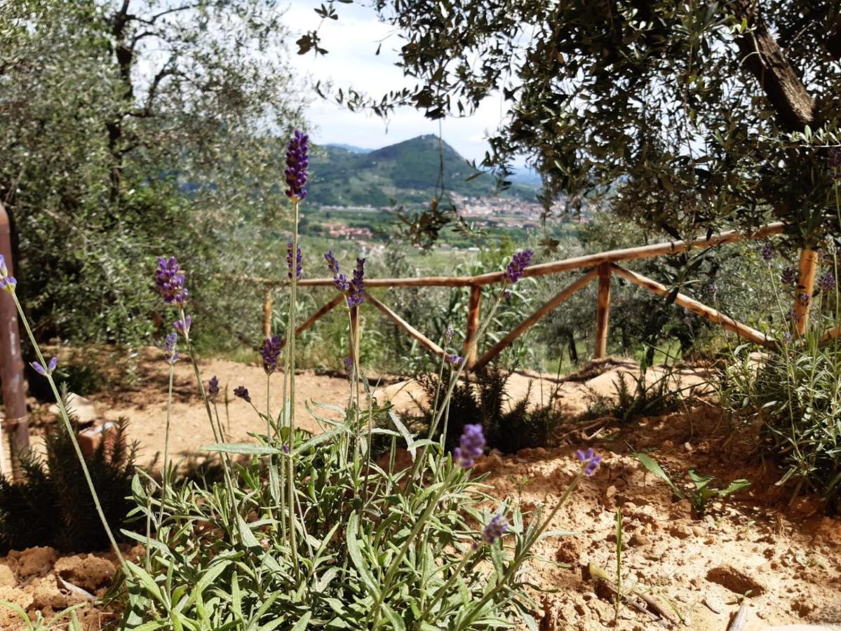 Agriturismo Fonteregia Montecatini Terme Dış mekan fotoğraf