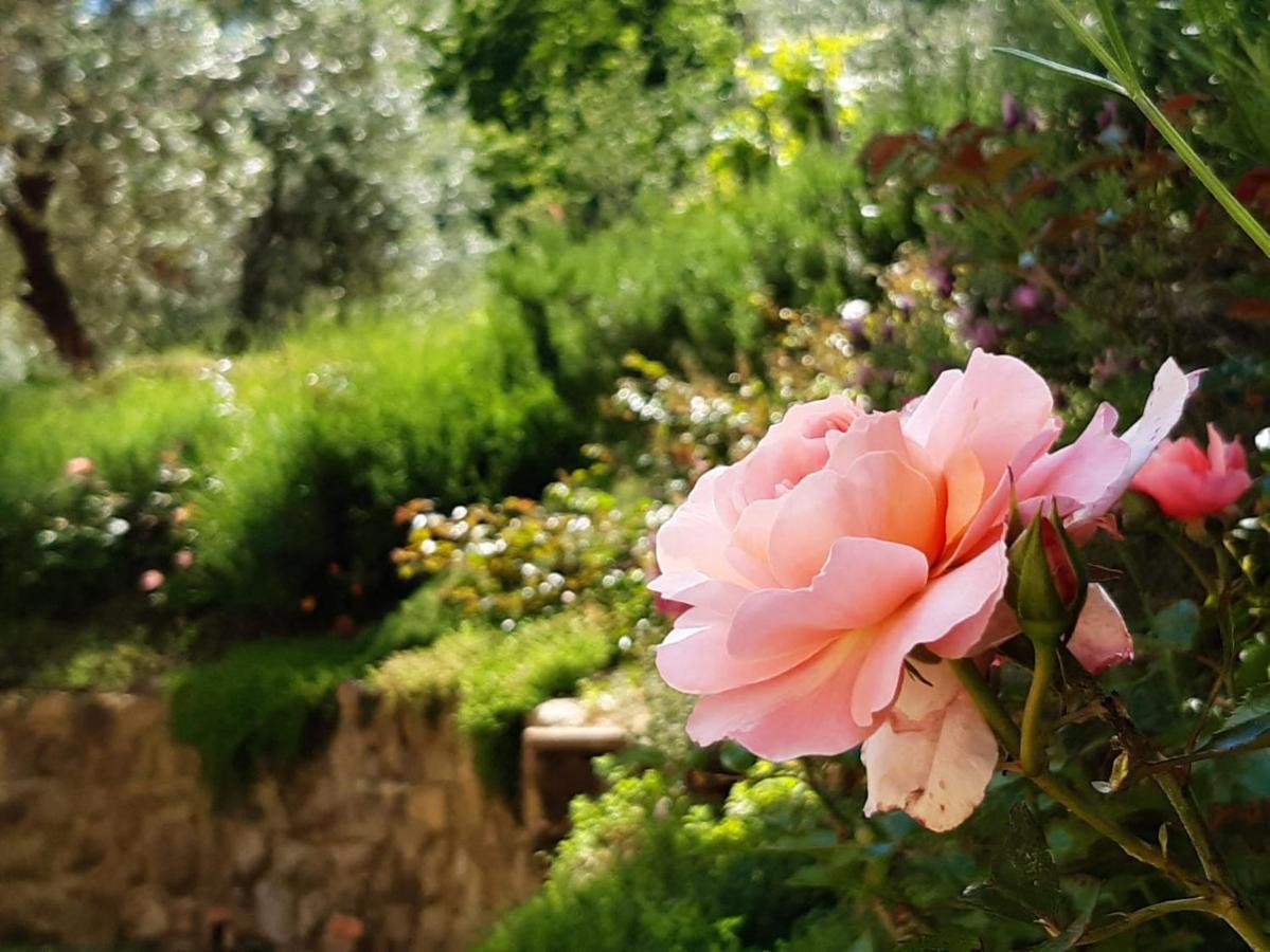 Agriturismo Fonteregia Montecatini Terme Dış mekan fotoğraf